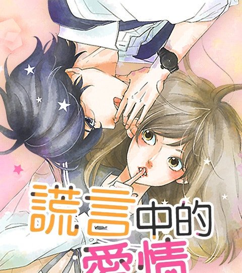 谎言中的爱情封面